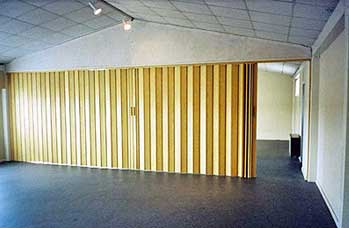 Partition Doors